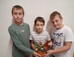 Aranžování 5. třída  4