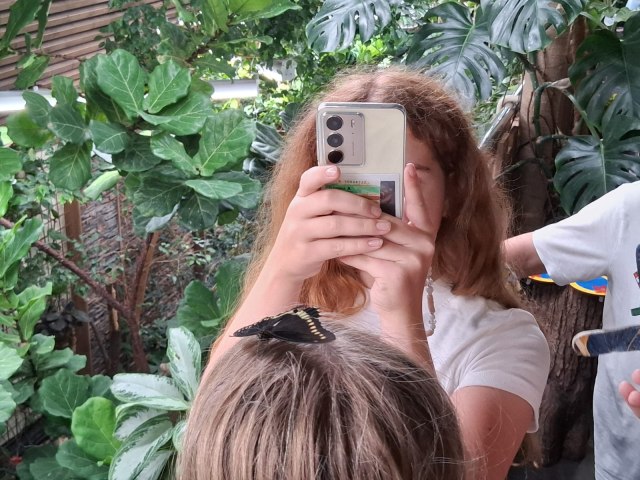 Exkurze Brno, 6.A,B 1