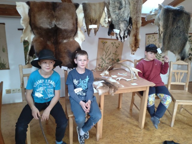 Chaloupky Kněžice  1