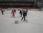 Tělocvik na ledě  12