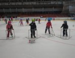 Tělocvik na ledě  13