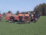 Sběr kamenů  5